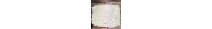 EC0CW500 Cotton Wool Balls (1,000) (3).png