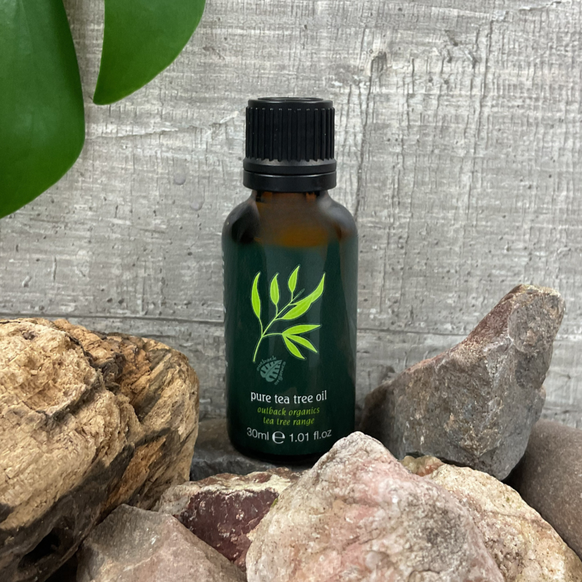 EBS10 Organic Pure tea Tree oil 30ml (1).png