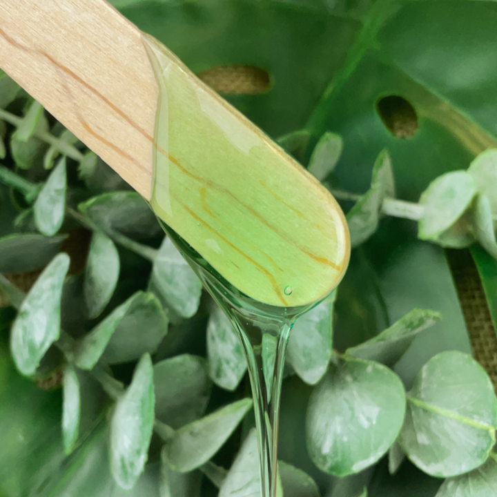 EBS142 Eucalyptus (2).png
