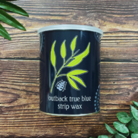 EBS17 True Blue (3).png