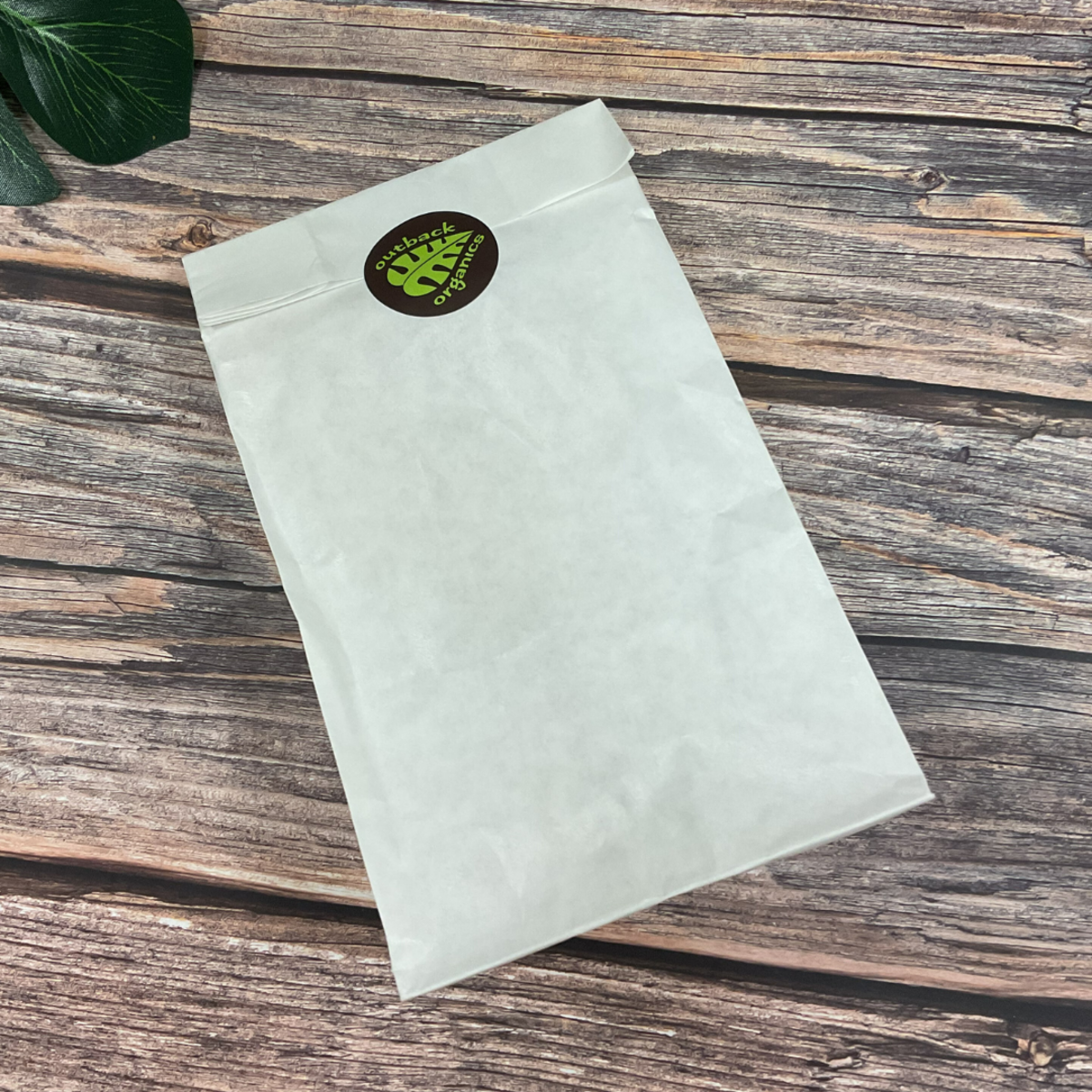 EBS37 Facial Spatula 50pk (3).png