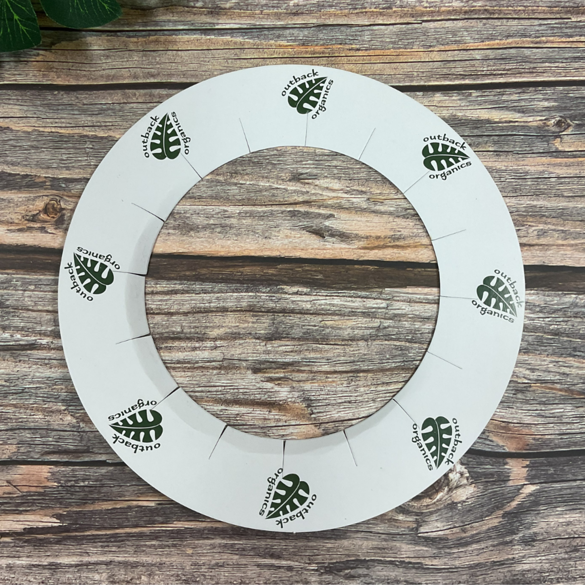 EBS69 Collar rings 50pk for 800g tins (2).png