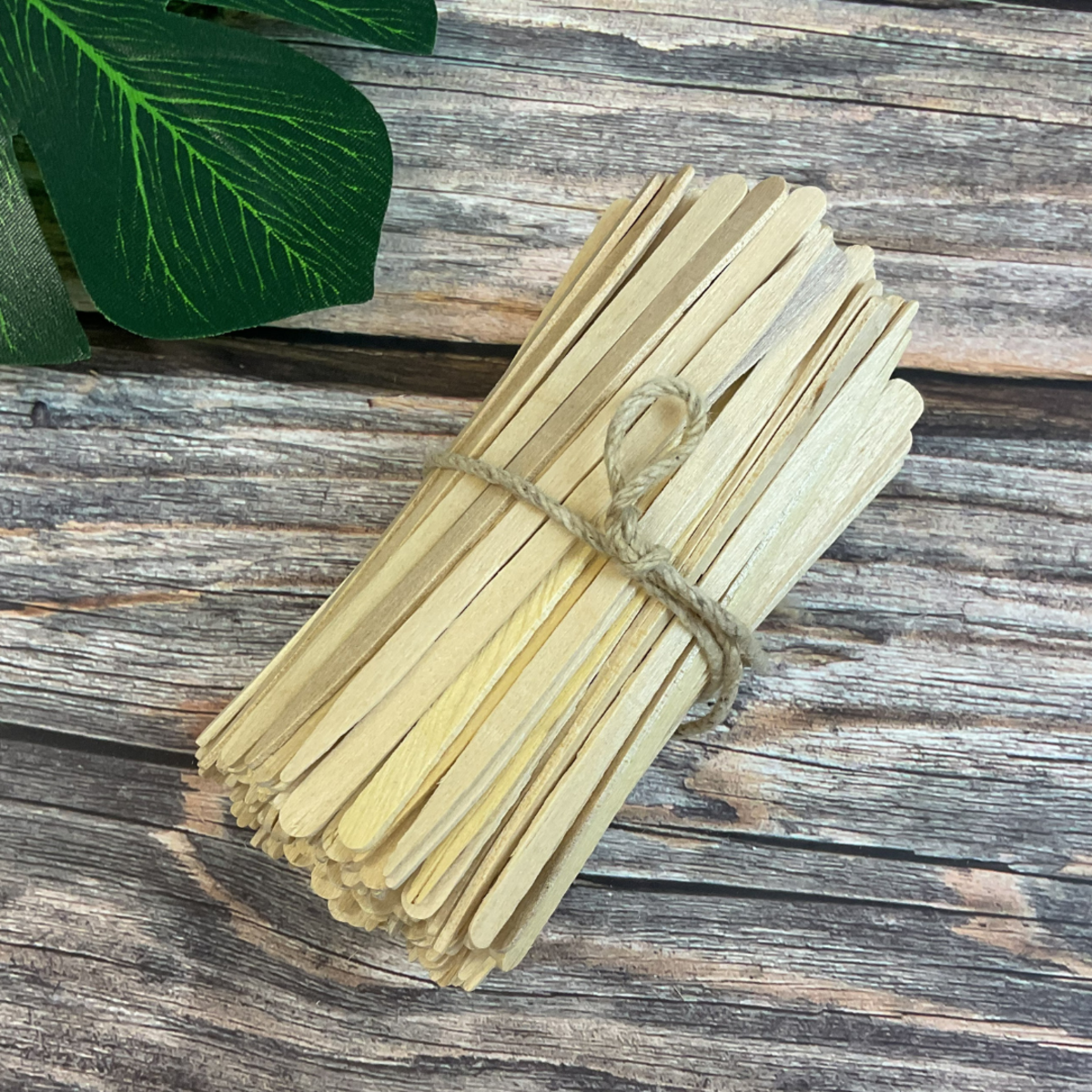 EBS97 Eyebrow Spatulas 200pk (1).png