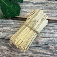 EBS97 Eyebrow Spatulas 200pk (1).png