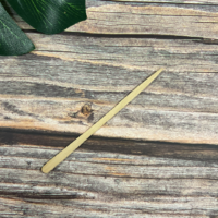 EBS97 Eyebrow Spatulas 200pk (2).png