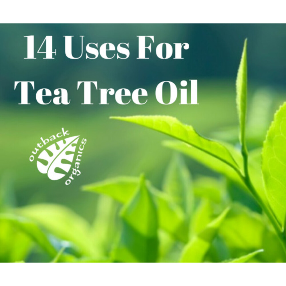 Top 14 uses for tea tree oil Outback Organics