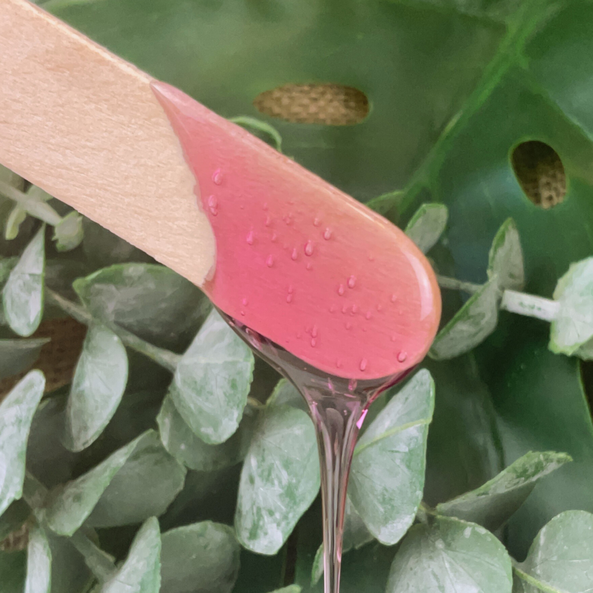 Opal Strip Wax 800g | The Outback Organics Shop | Outback Organics